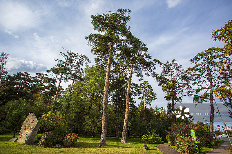 二道白河镇美人松公园图片素材