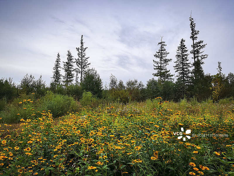 碱水河国家湿地公园图片素材
