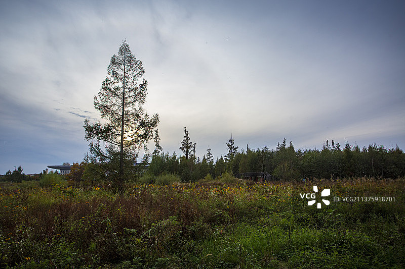 碱水河国家湿地公园图片素材