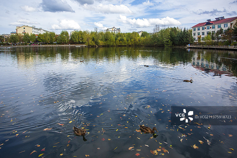 二道白河镇野鸭湖图片素材