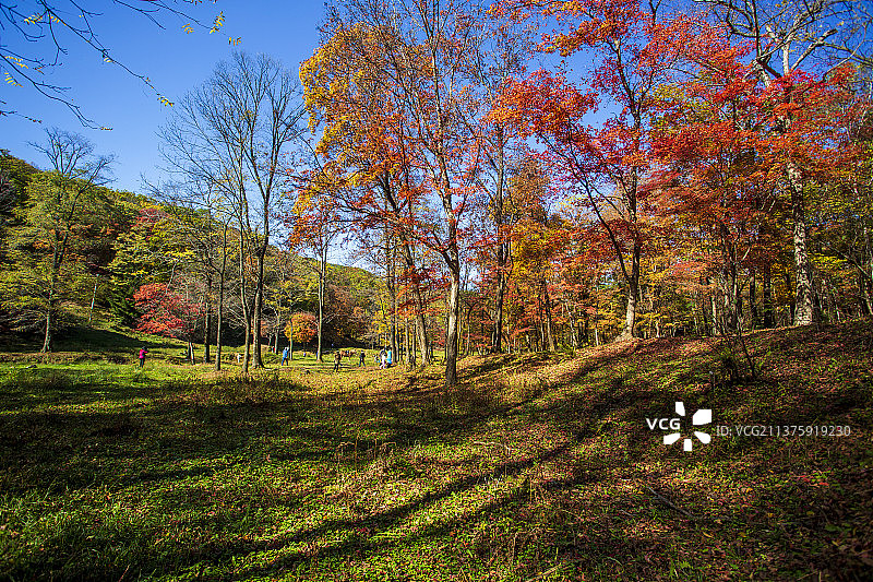 红叶谷秋色图片素材