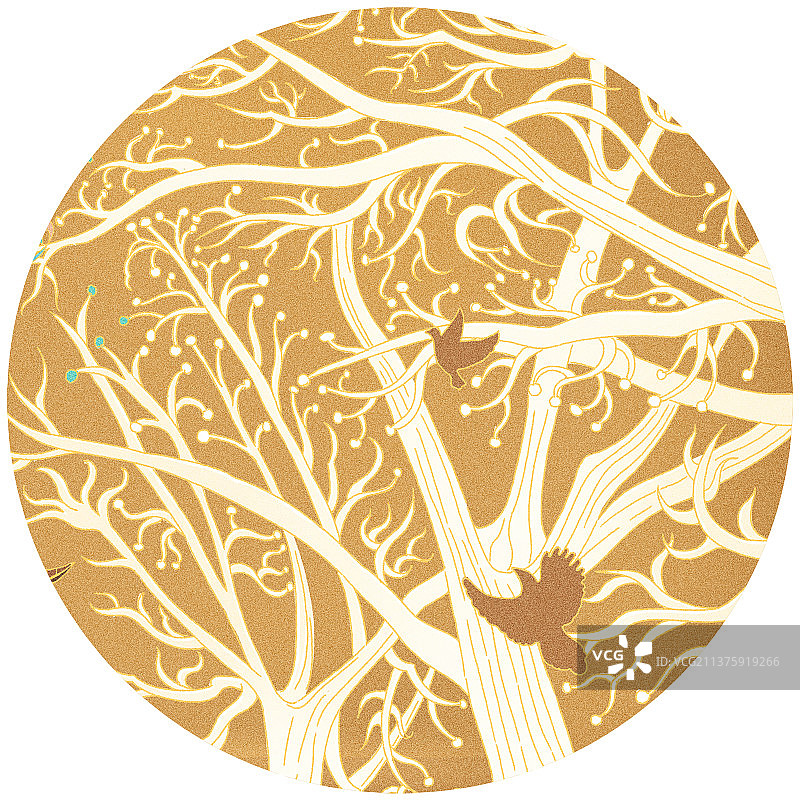 金色喜鹊上枝头插画，国风喜庆插画图片素材