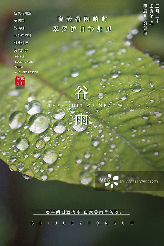 谷雨设计模板海报图片素材