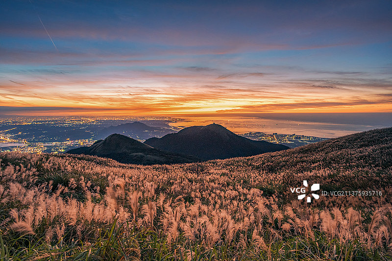霞光映芒草＋台北大屯山图片素材