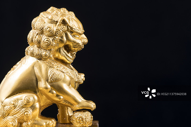 铜制金色狮子特写黑色背景图片素材