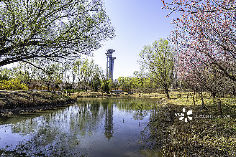 奥林匹克森林公园春光图片素材