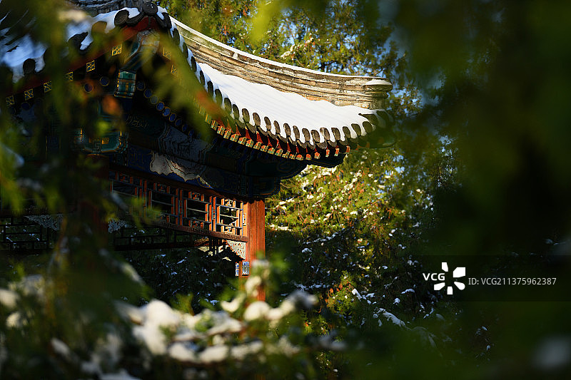 北京：枫叶与白雪的爱情—地坛公园雪景图片素材