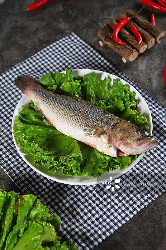 鲫鱼场景图拍摄图片素材