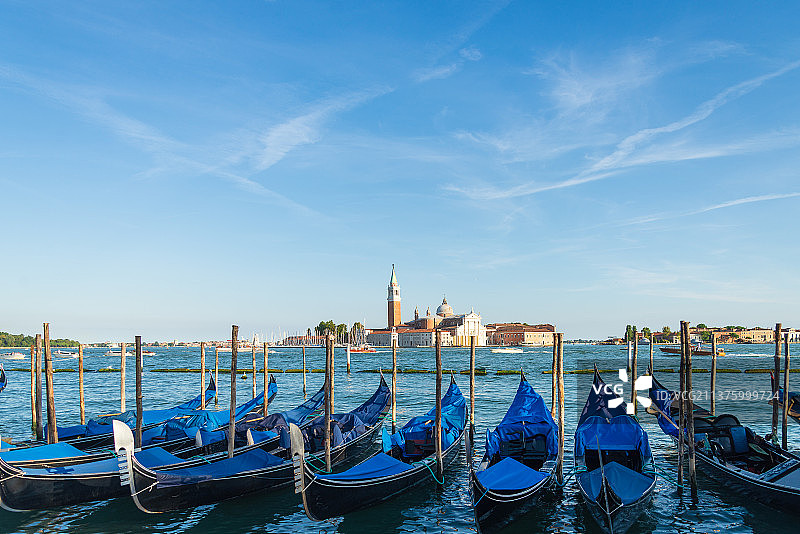 摇曳在蓝色里图片素材