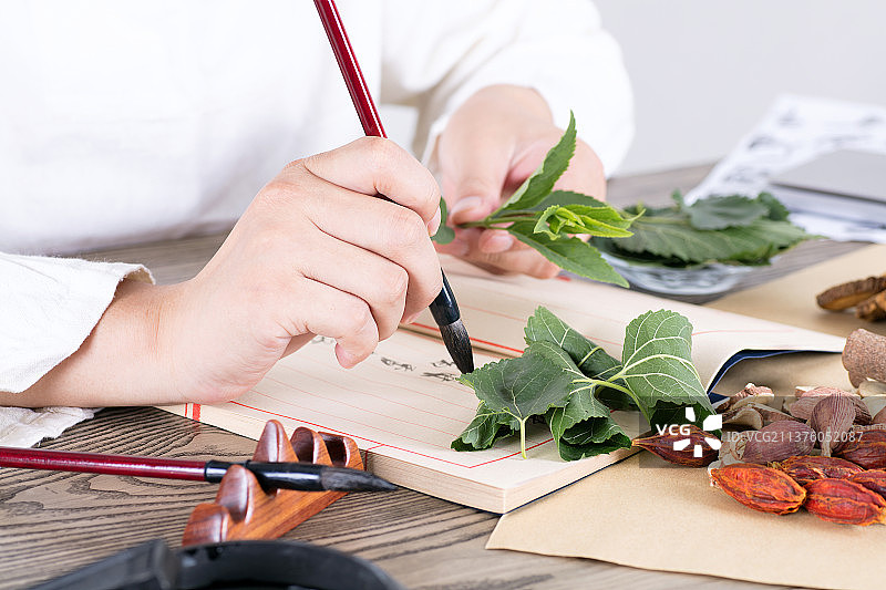 中药研究图片素材