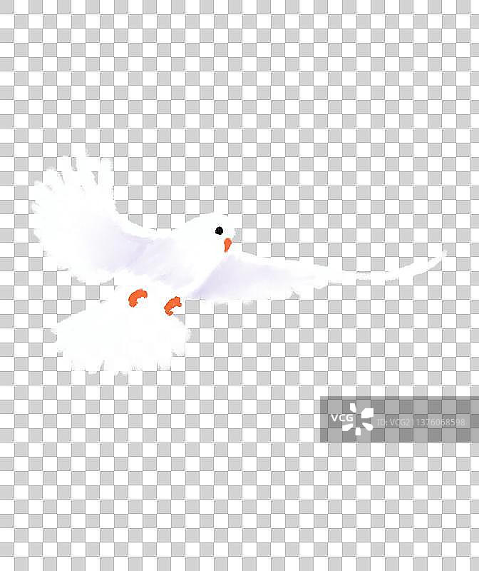 鸽子元素图片素材