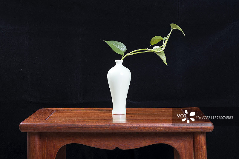 插着绿萝的梅瓶摆放在红木茶几上特写黑色背景图片素材