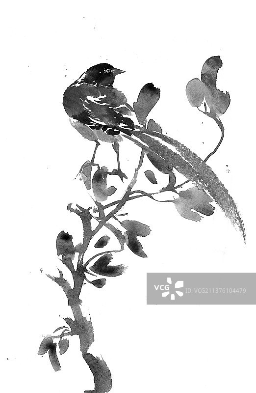 水墨小鸟图片素材