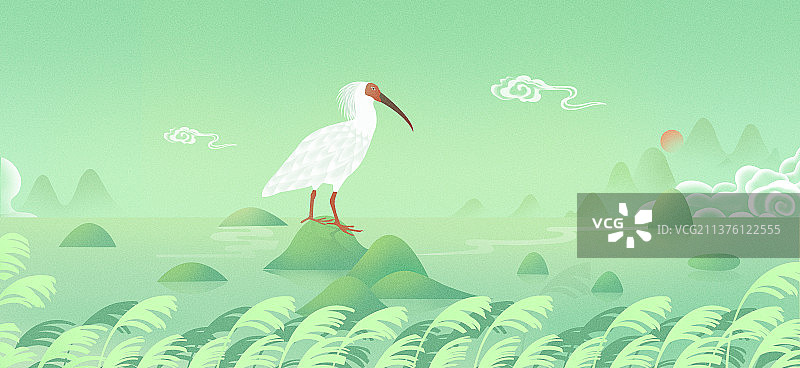 朱鹮，地球日保护野生动物插画，国际珍稀动物保护日，世界环境日图片素材