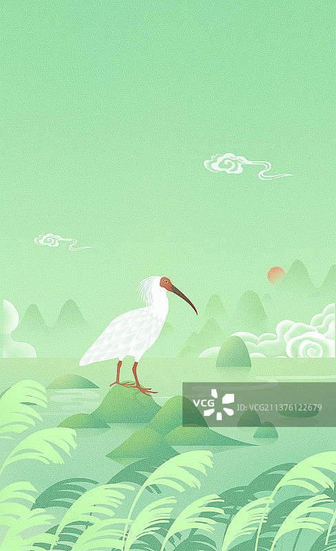 朱鹮，地球日保护野生动物插画，国际珍稀动物保护日，世界环境日图片素材