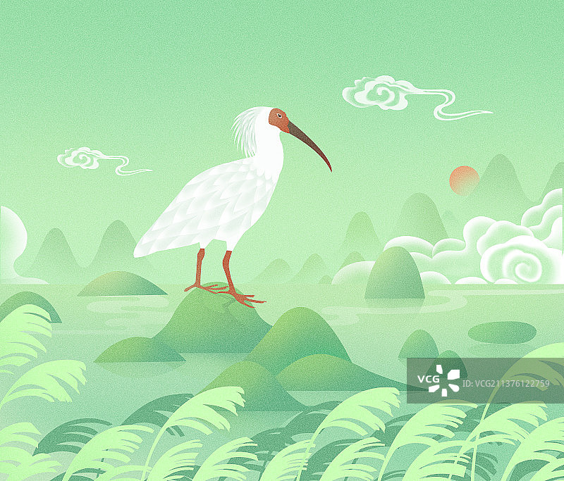 朱鹮，地球日保护野生动物插画，国际珍稀动物保护日，世界环境日图片素材