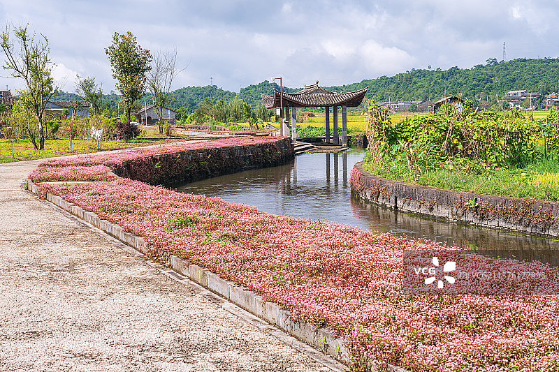 云南腾冲和顺古镇田园风景图片素材