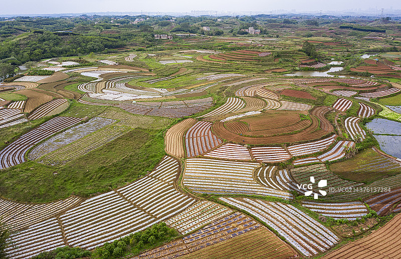 锦绣田园图片素材