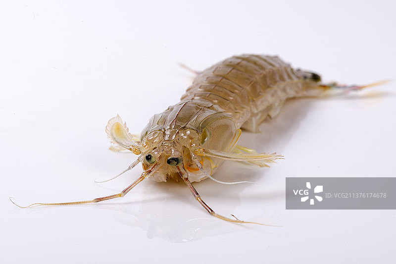 一盘皮皮虾与调料摆放在桌面上特写图片素材