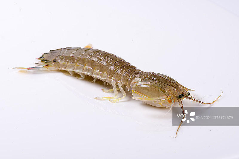 一盘皮皮虾与调料摆放在桌面上特写图片素材