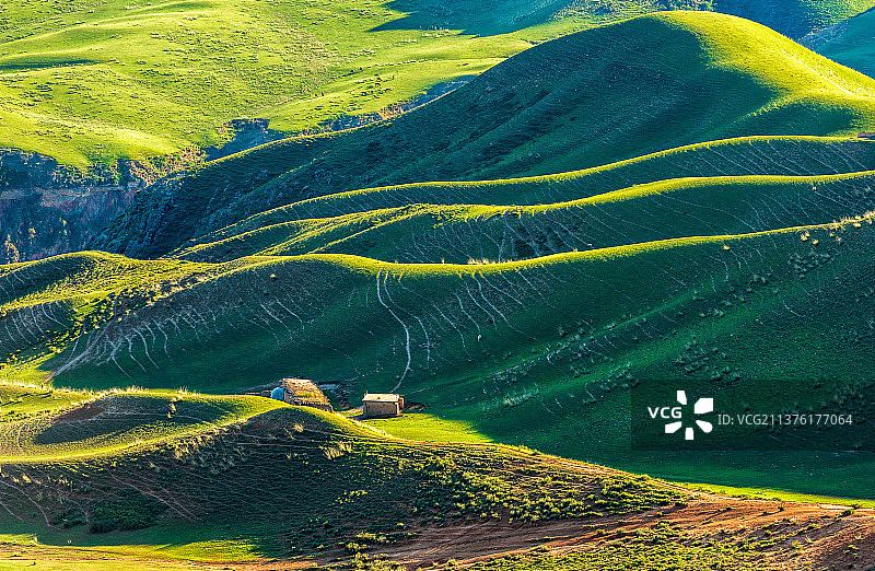 夕阳西下，喀拉峻草原镶嵌上金色的余晖，一切都安静下来了。。。图片素材