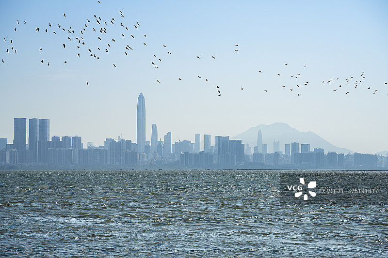 中国广东深圳湾都市风光图片素材