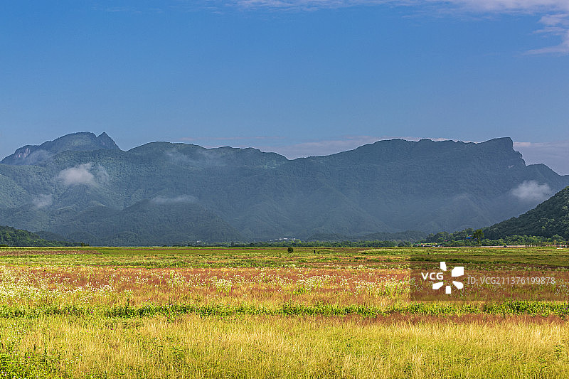 神农架大九湖高山平原草场图片素材