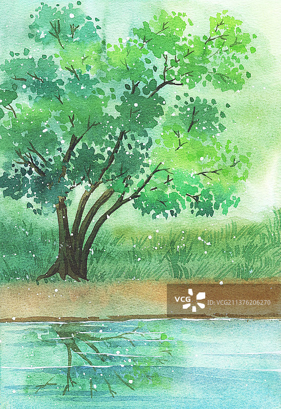 河边的大树图片素材