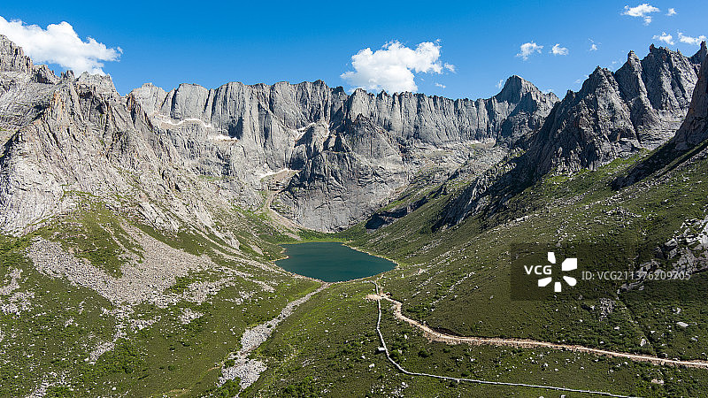 莲宝叶则图片素材