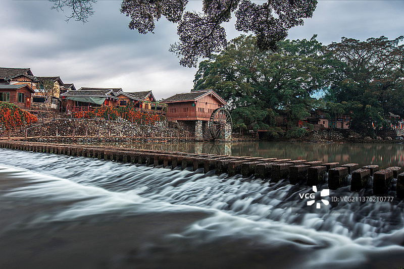 福建省漳州市南靖县云水谣风景区的百年古榕树春季风光图片素材