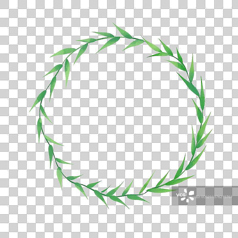绿色植物叶子圆形边框素材图片素材