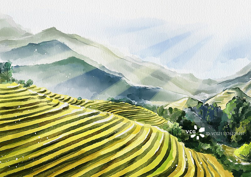 春天山坡梯田阳光水彩风绿色风景插画图片素材