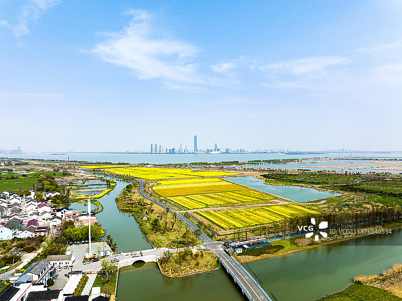 江苏苏州上林村油菜花开图片素材