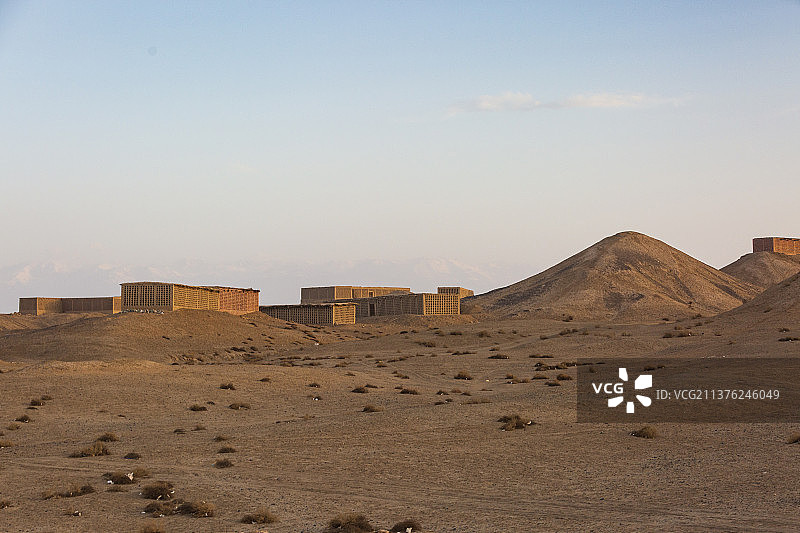 新疆葡萄园图片素材