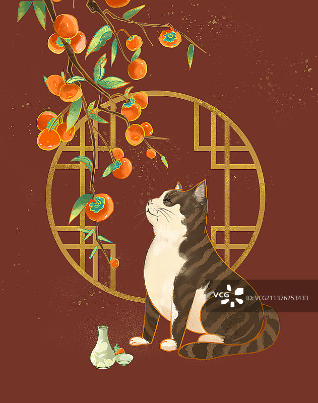 猫咪抬头看着天空图片素材