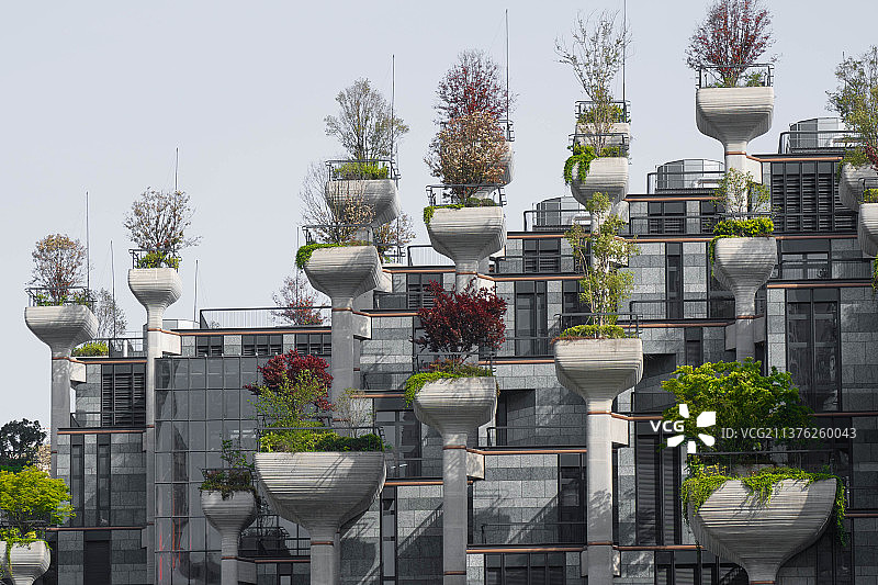 天安千树图片素材