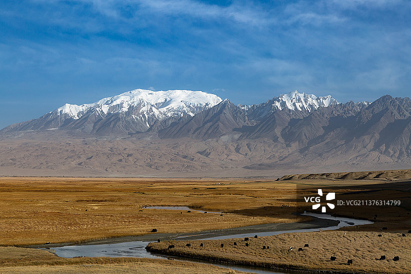高原牧场图片素材