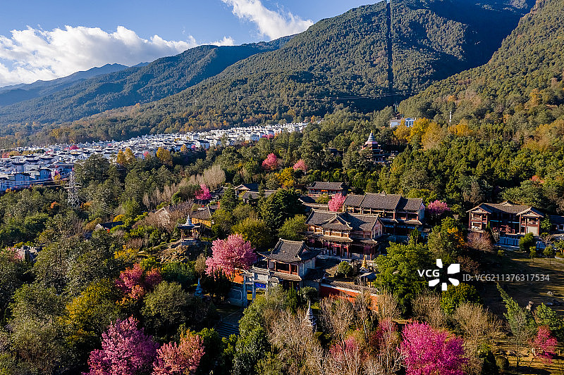 大理樱花图片素材