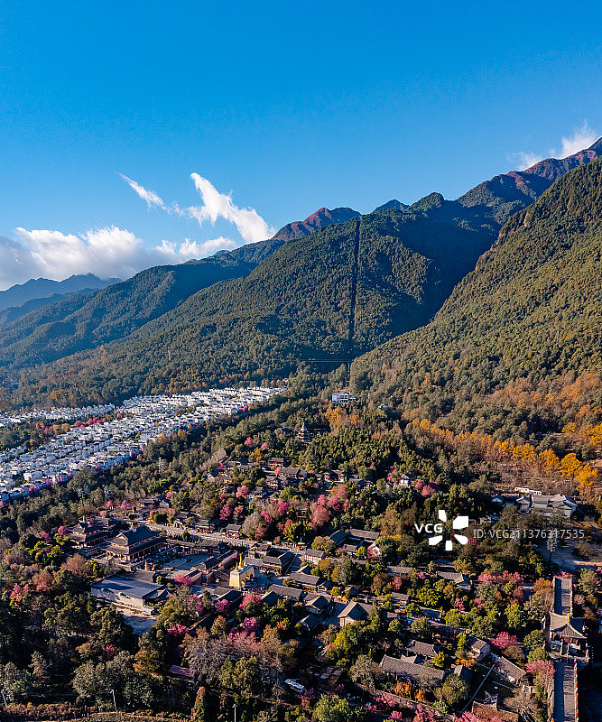 大理樱花图片素材