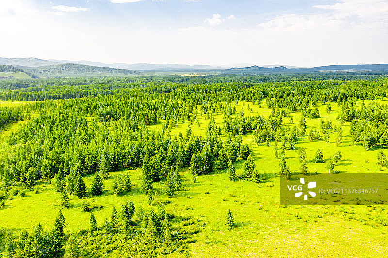 航拍阿尔山国家森林公园图片素材