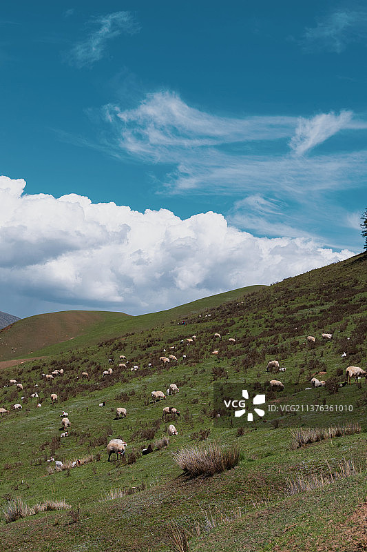 卓尔山风景区图片素材