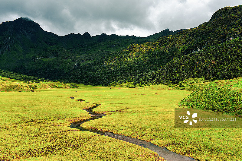 山下的草场图片素材