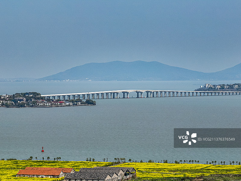 江苏苏州西山岛油菜花开图片素材