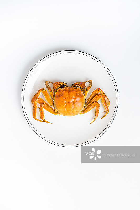 室内影棚拍摄煮熟的正宗阳澄湖大闸蟹图片素材
