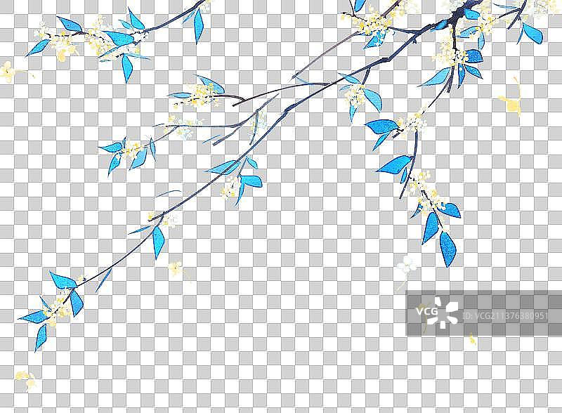 植物素材桂花图片素材