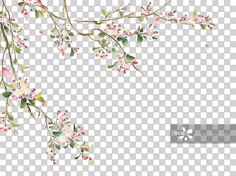 植物素材海棠花图片素材