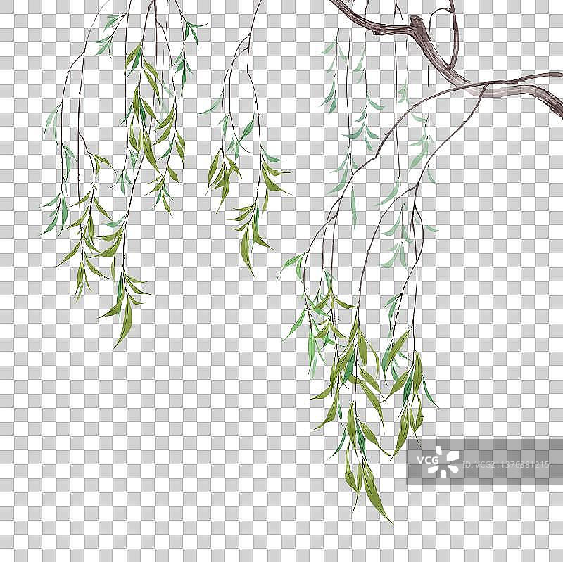 植物素材垂柳图片素材