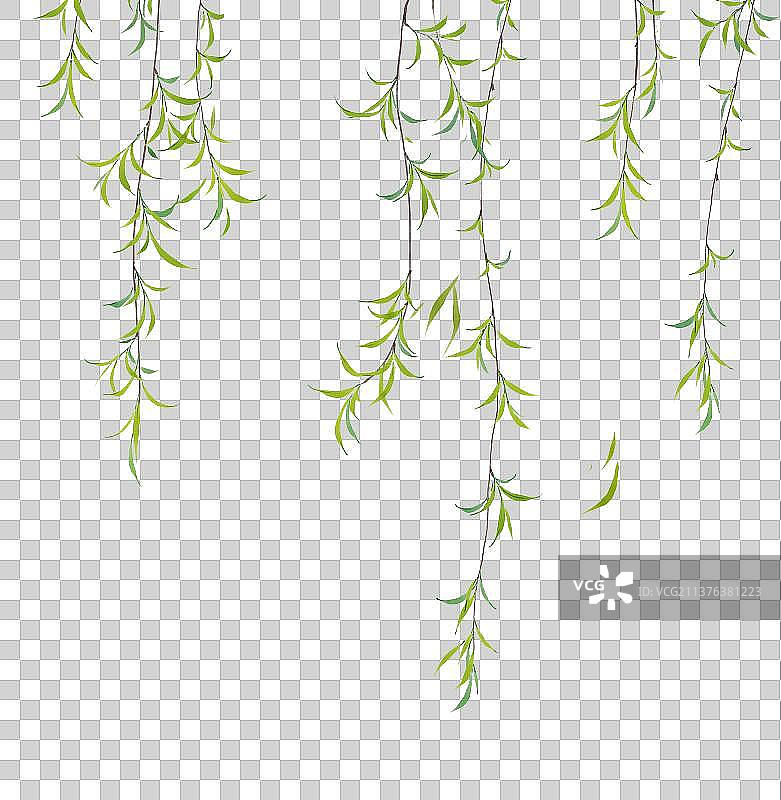 植物素材垂柳图片素材