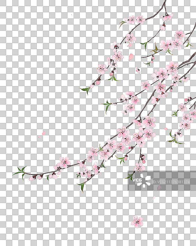 植物素材桃花图片素材