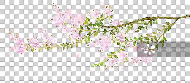 植物素材紫薇花图片素材